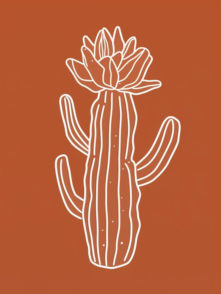 Cactus Line Drawing Acanthocalycium Cactus 3