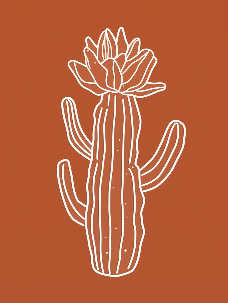 Cactus Line Drawing Acanthocalycium Cactus 3