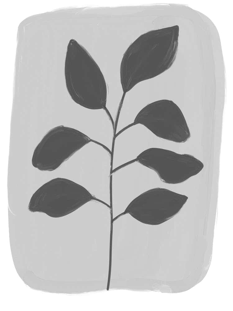 Leaf - Black And White