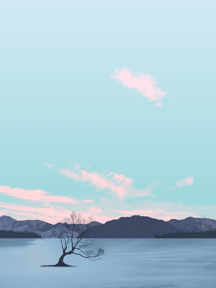 Wanaka Tree New Zealand Lake Mountains Sky Pink Clouds