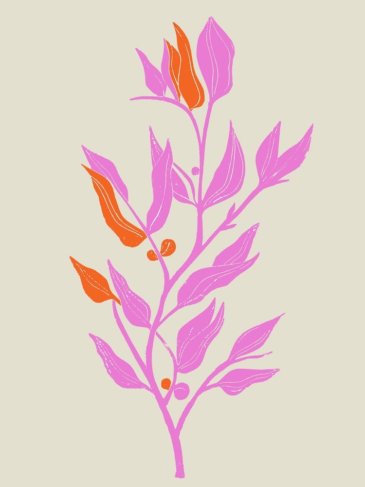 Pink And Orange Eucalyptus Tree
