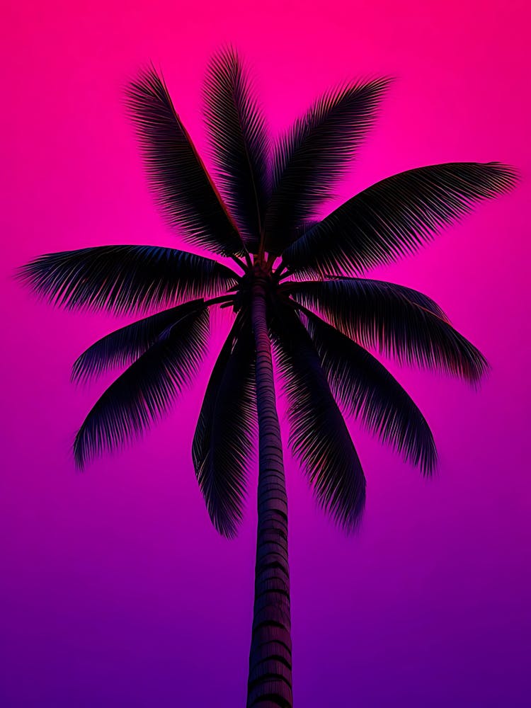 Palm Tree