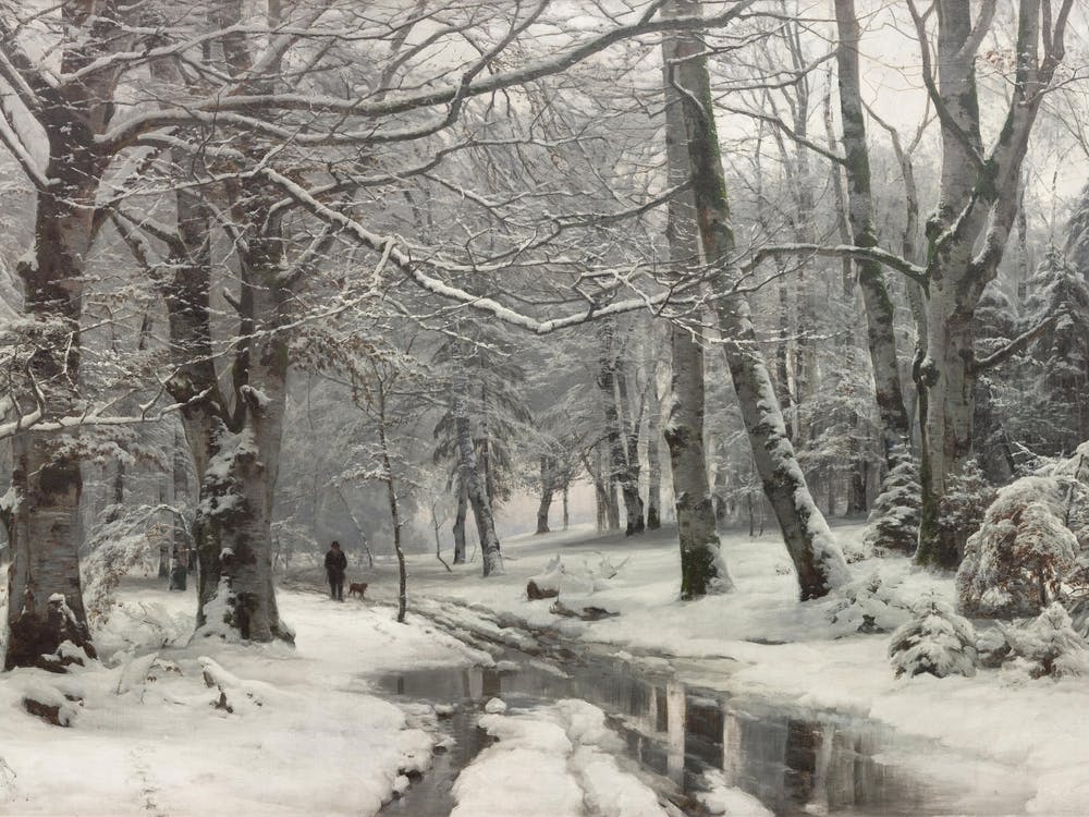 Winter'S Walk