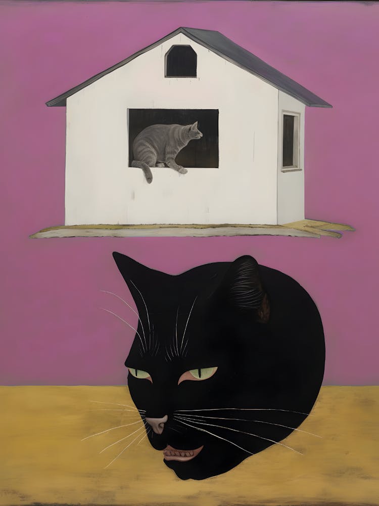 House Cat