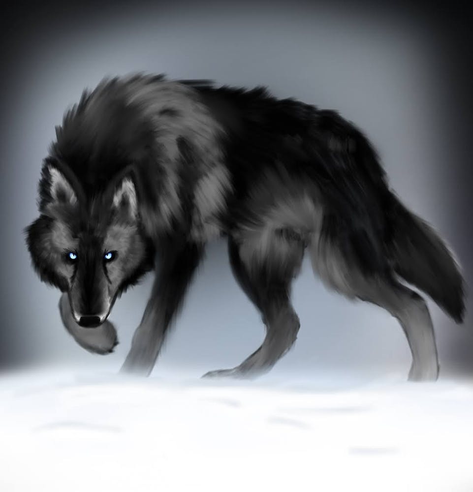 Black Wolf