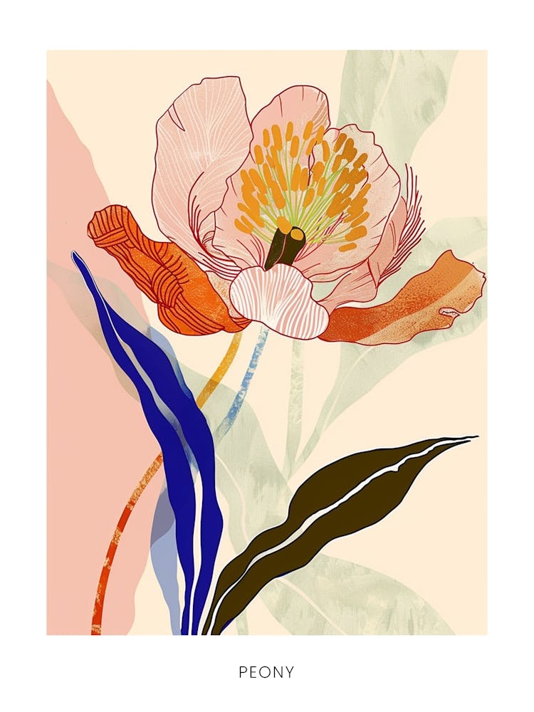 Colourful Flower Illustration Poster Peony 4