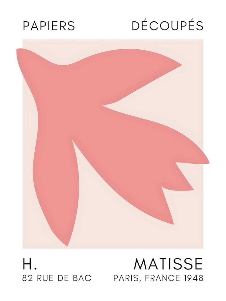 Matisse 27