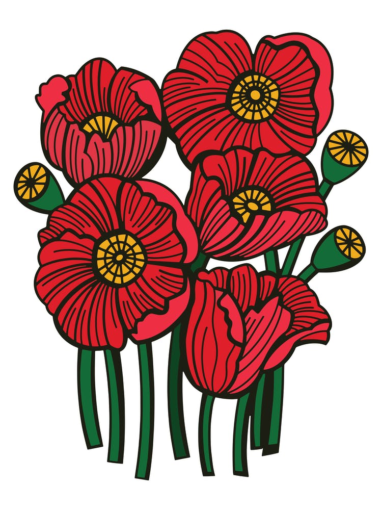 Coquelicots Rouges Illustration Botanique Contemporaine