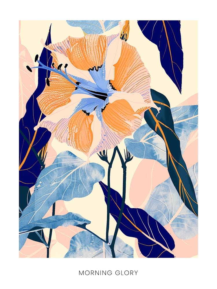 Colourful Flower Illustration Poster Morning Glory 8