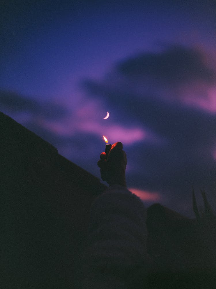 2d593b69 Ff5f 41f7 8072 788c2a7d218b