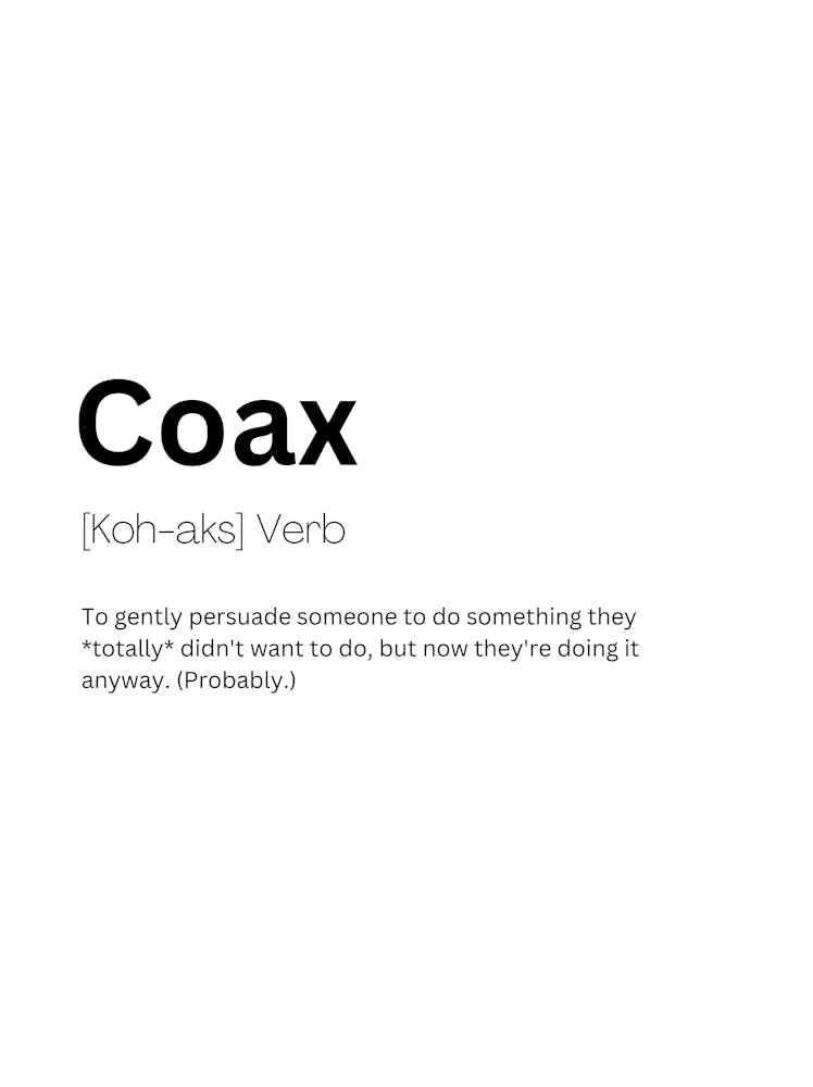 Coax Definition Meaning 1