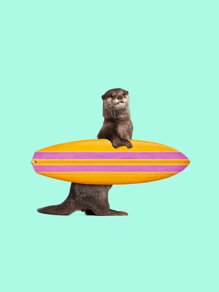 Surfing Otter