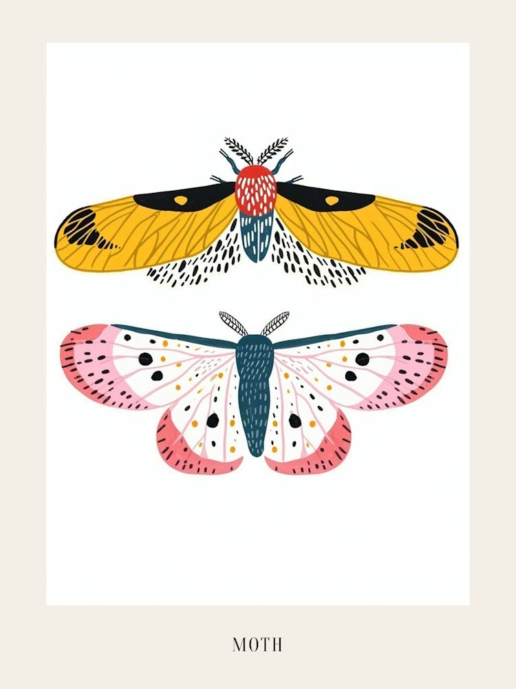 Colourful Insect Illustration Moth 6 Poster