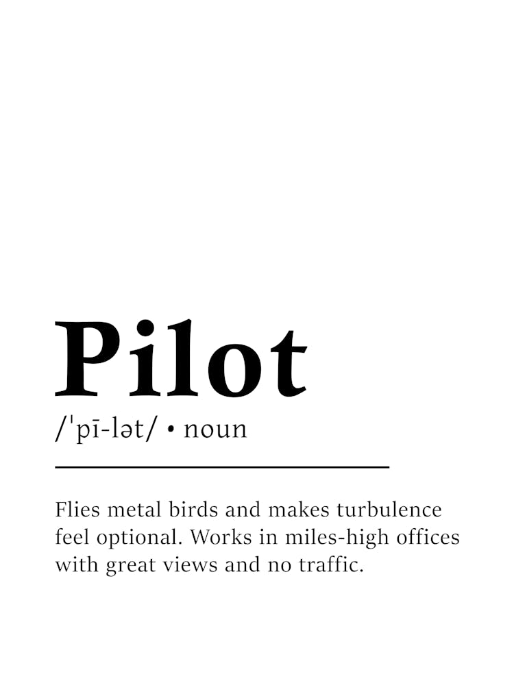Pilot Definition Poster - Dictionary 1