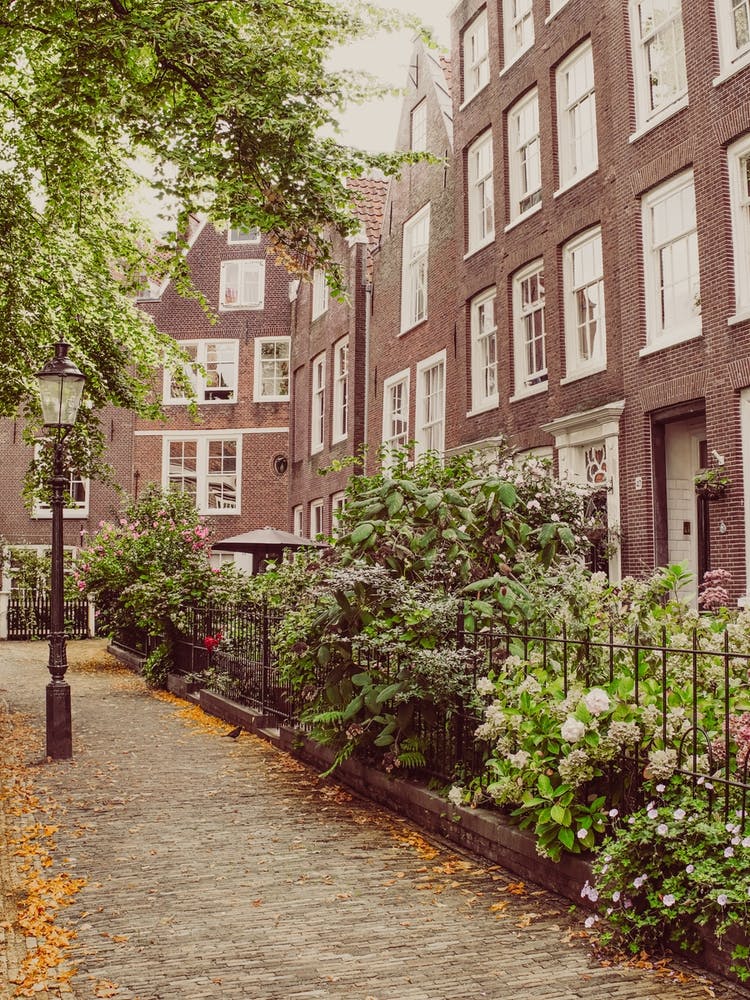 Secret Amsterdam, Travel