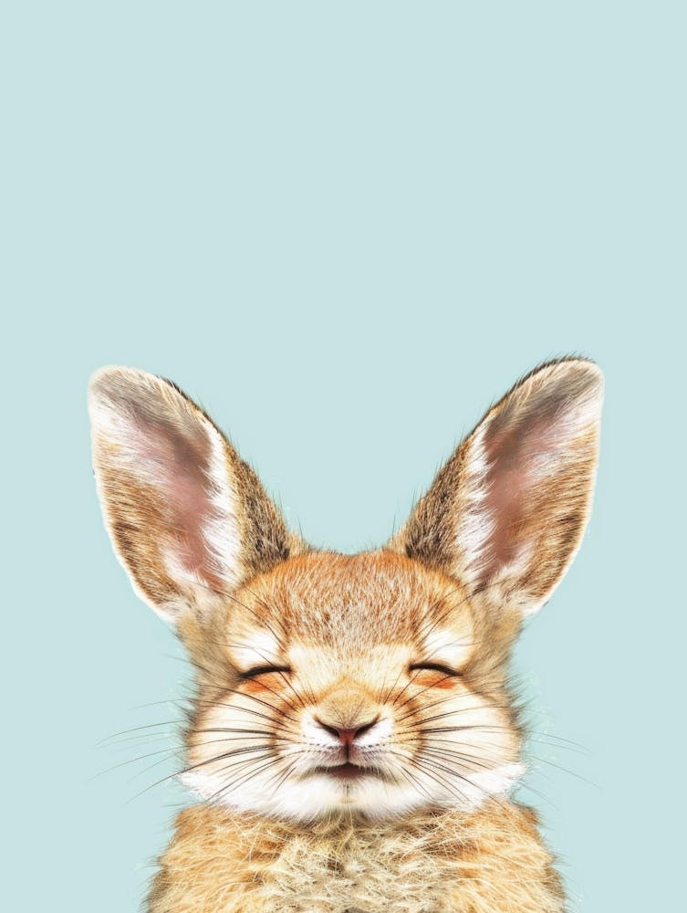 Hare Illustration 2