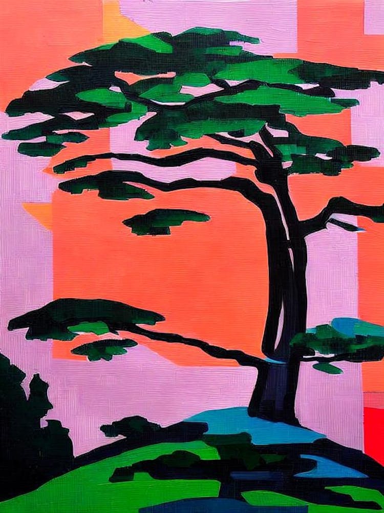 Japanese Black Pine Tree Cubist