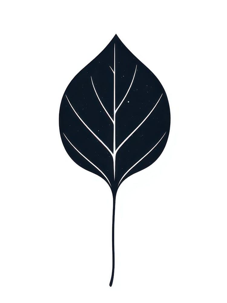 Birch Leaf