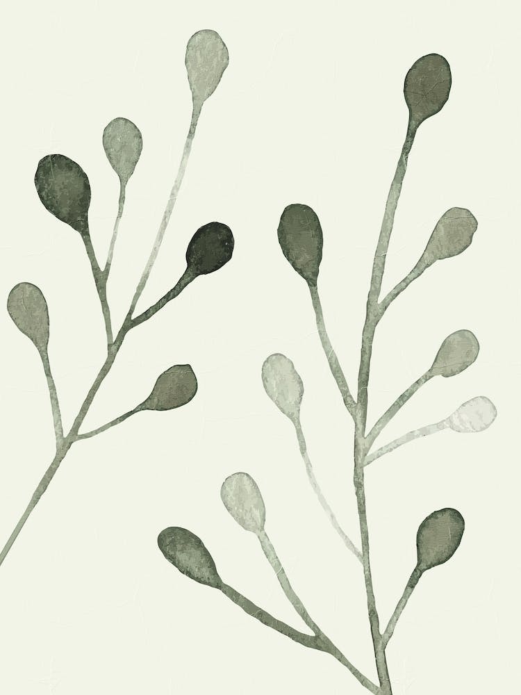 A Green Abstract Plant