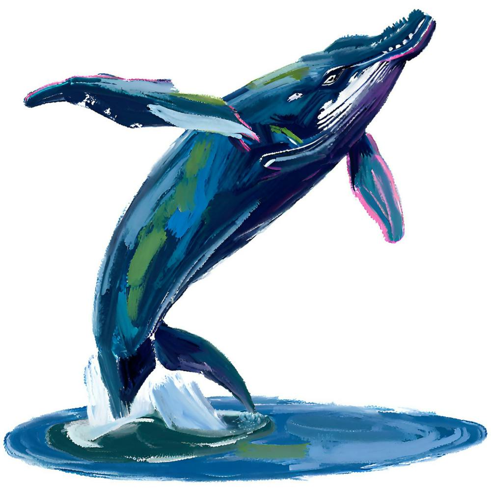 Humpback Whale 08