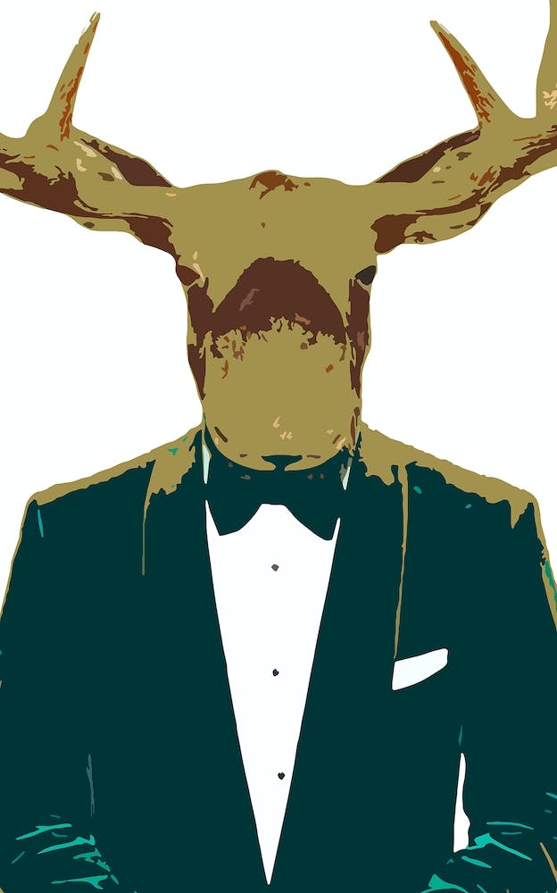 Moose Suit