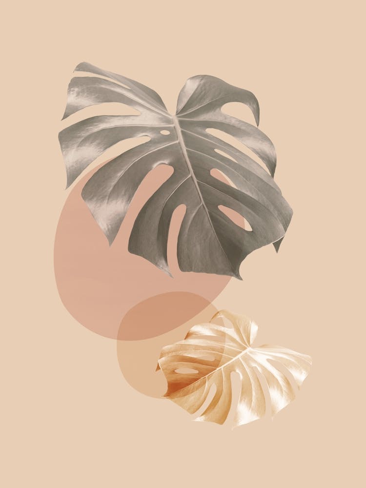 Harmonious floral composition 9