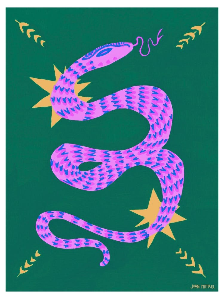 Purple Snake And Stars