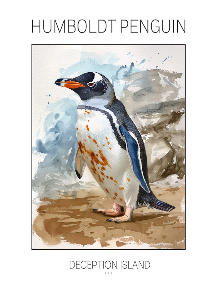 Humboldt Penguin Deception Island Watercolour Painting 2 Poster