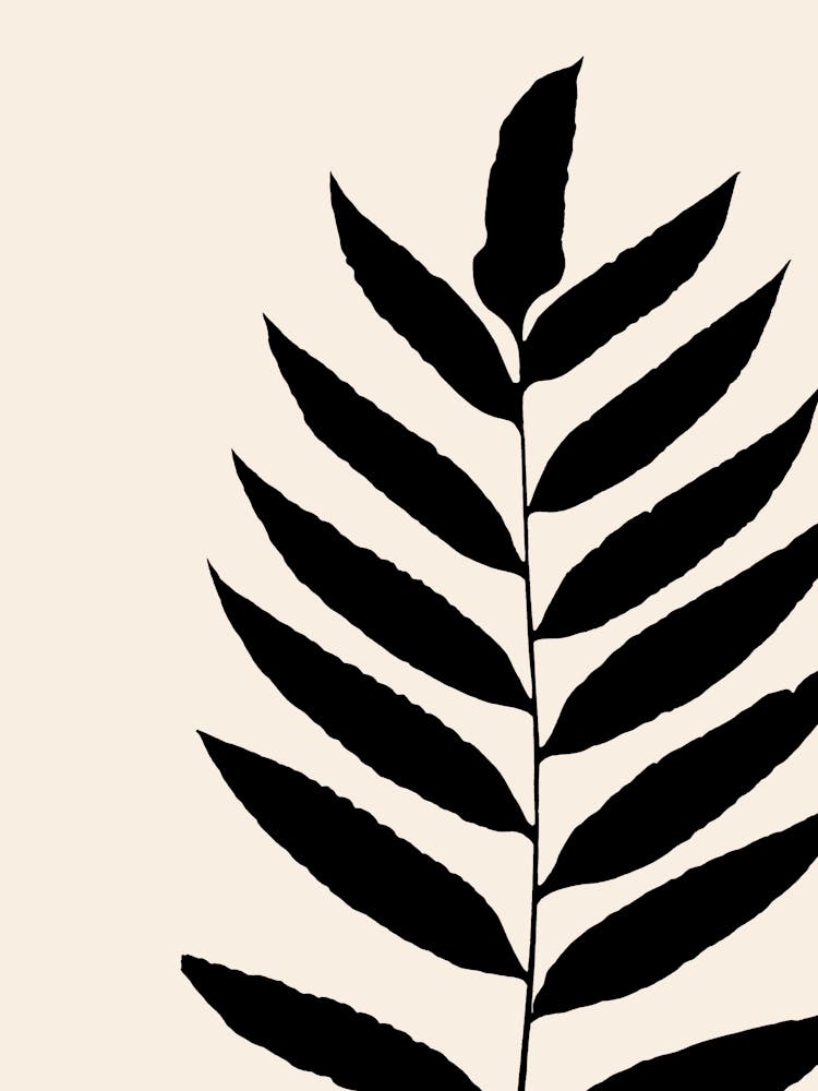 Fern Leaf in Black, Farmhouse Botanical