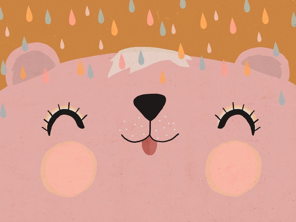 Happy Bear Rosy