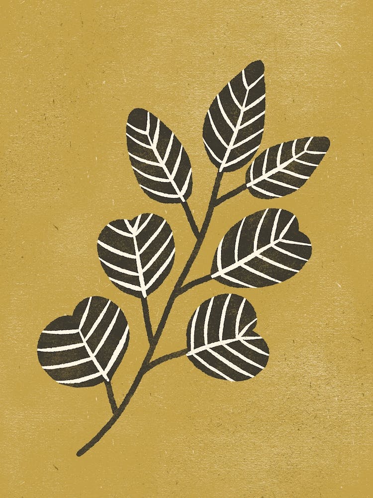 Eucalyptus Branch Ochre