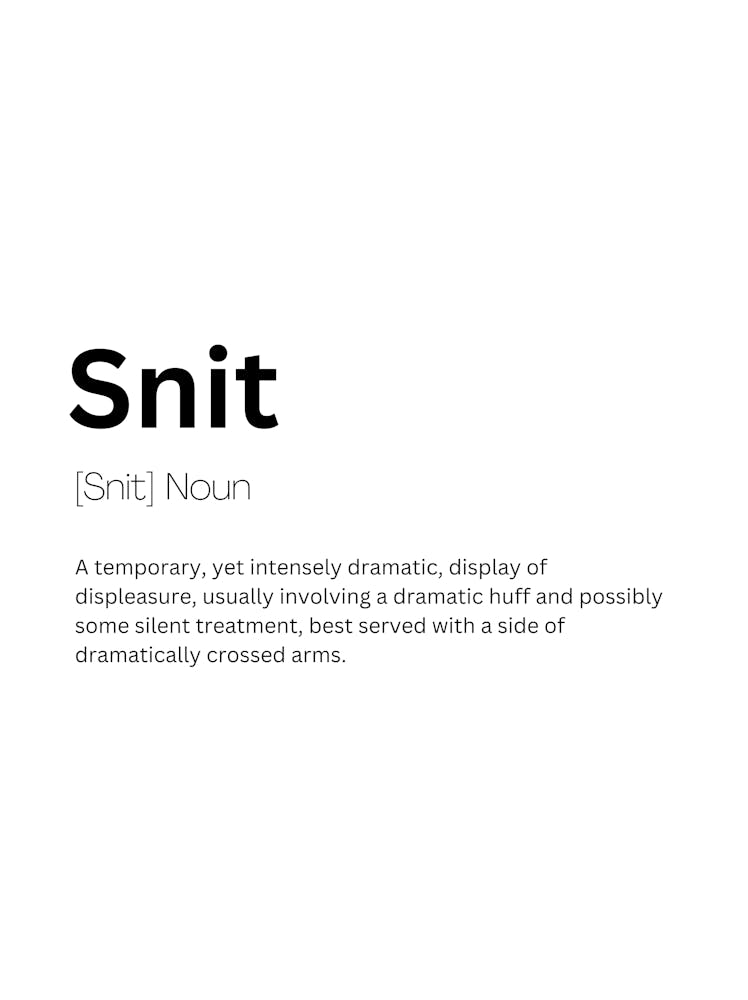 Snit Definition Meaning