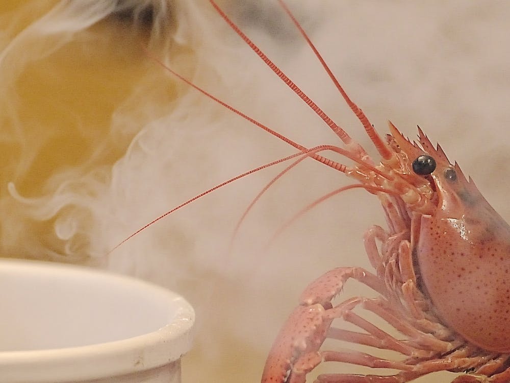Steaming Lobster