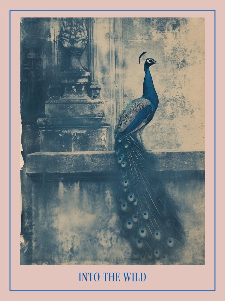 Peacock In A Church Abbey Cyanotype Inspired 1 Poster