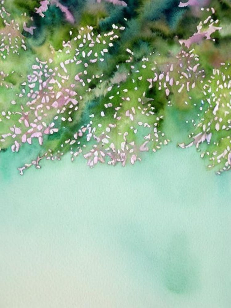 Acropora Granulosa Iiiistorybook Watercolour