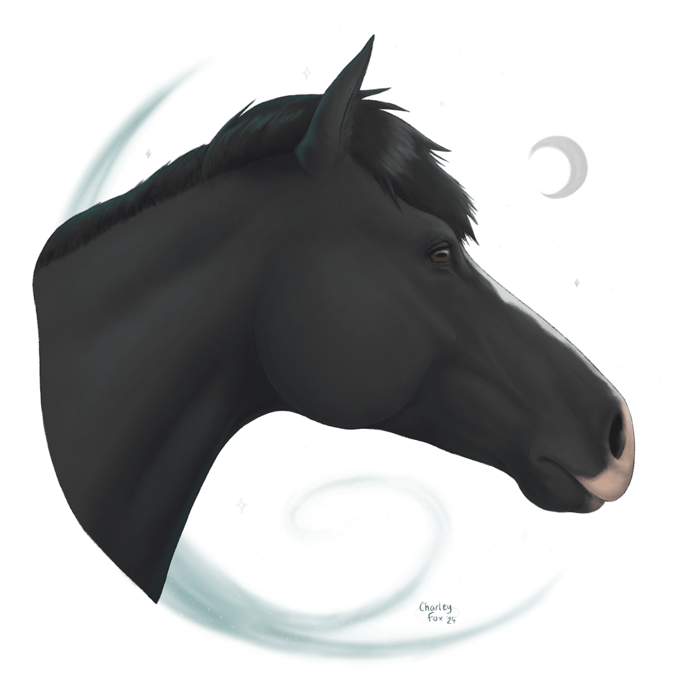 Mystic Stallion by Charley Fox