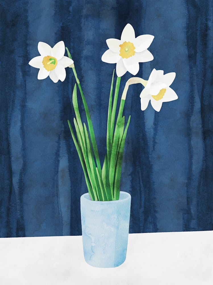 Daffodils Blue and White Watercolor Still Life