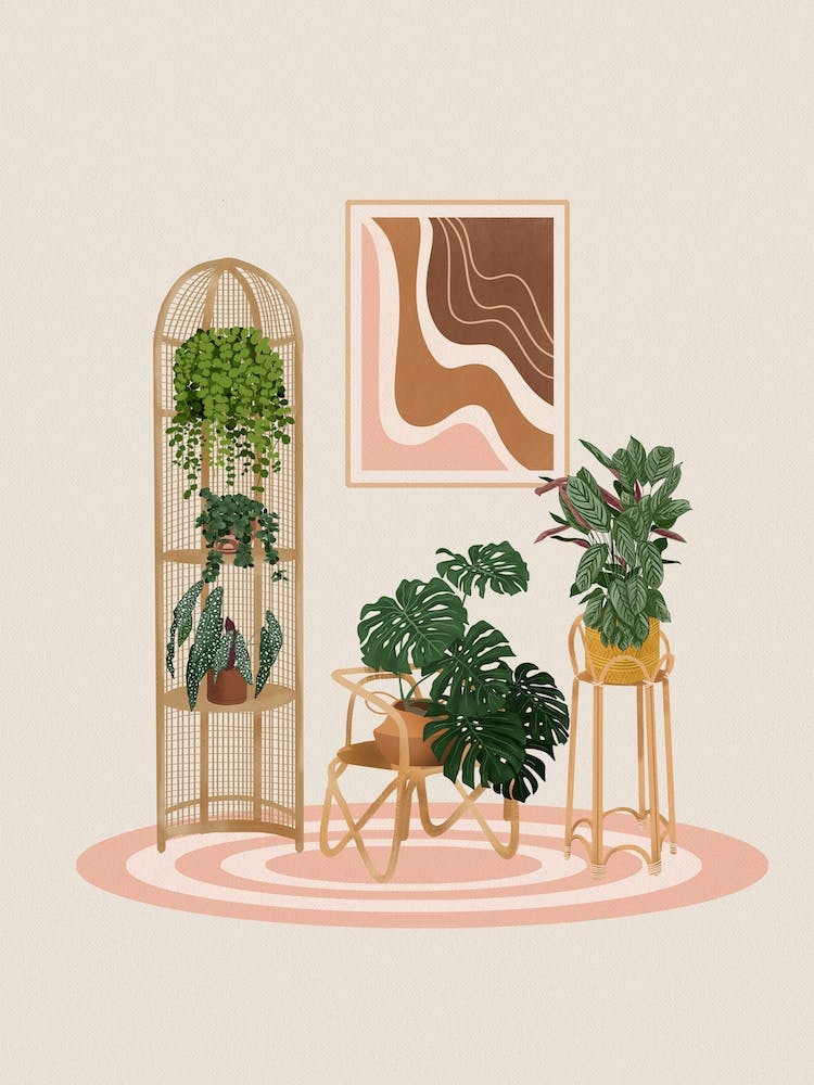 Room With Plants