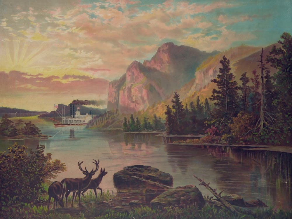 American River Scene With Stag