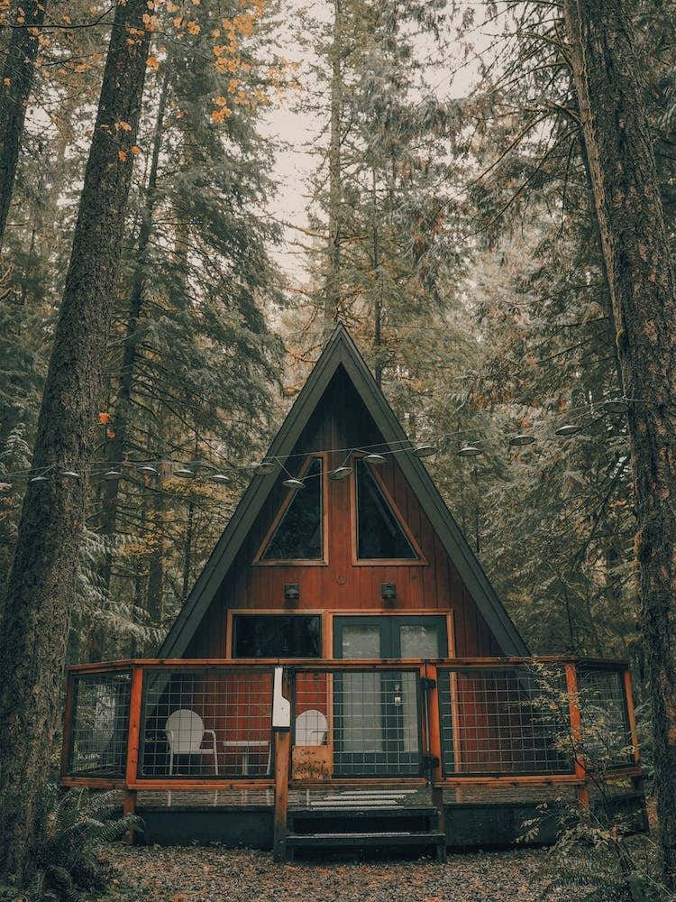 Autumn Forest Cabin