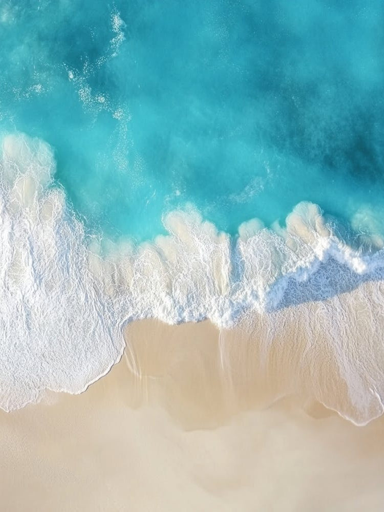 Aerial View Of A Beach 66