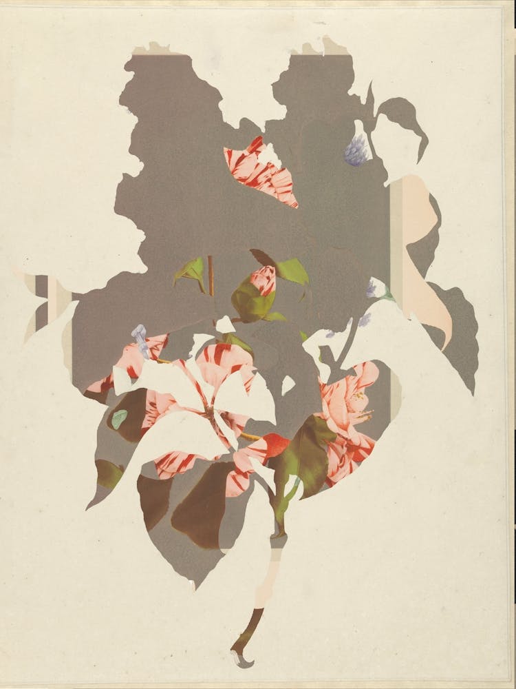 The First Plant � M2