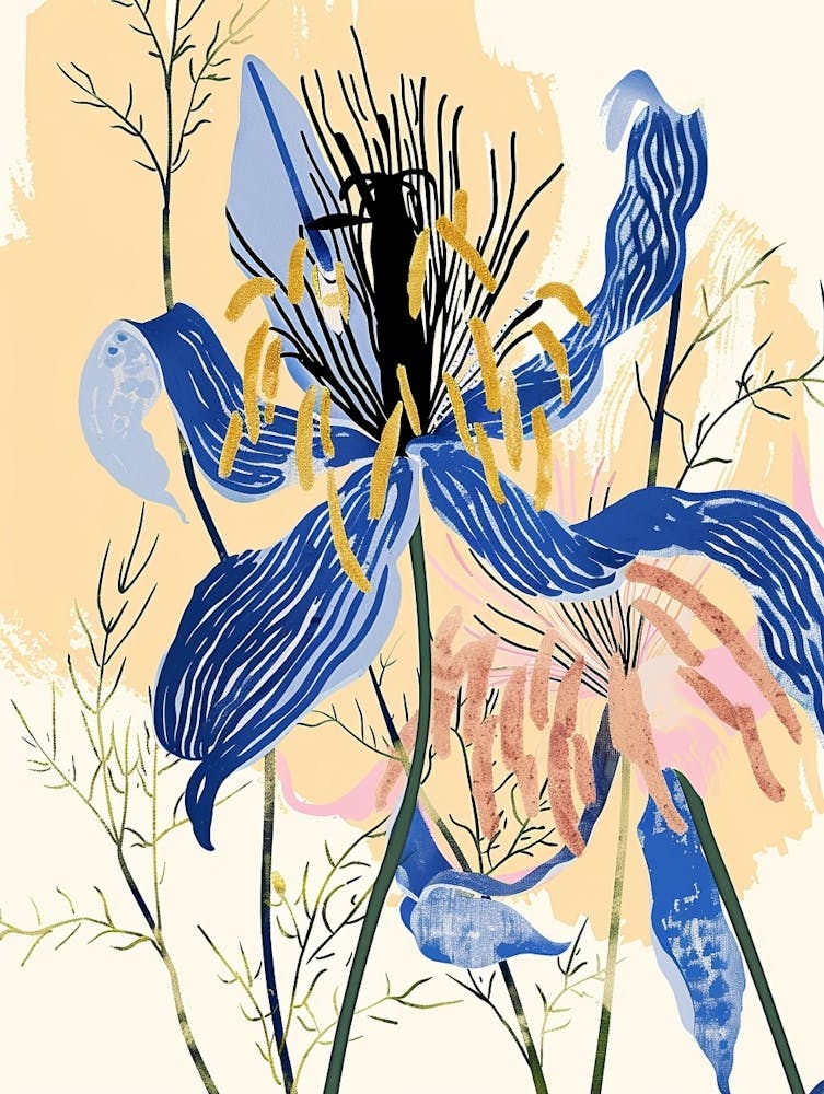 Colourful Flower Illustration Love In A Mist Nigella 1