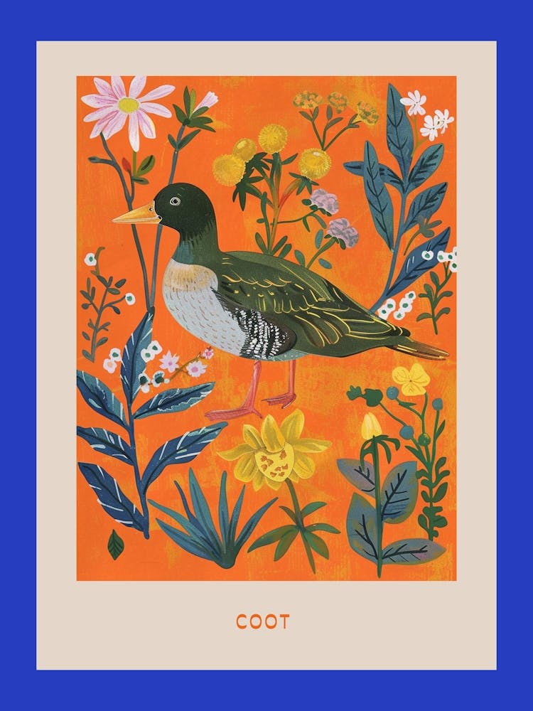 Spring Birds Poster Coot 3