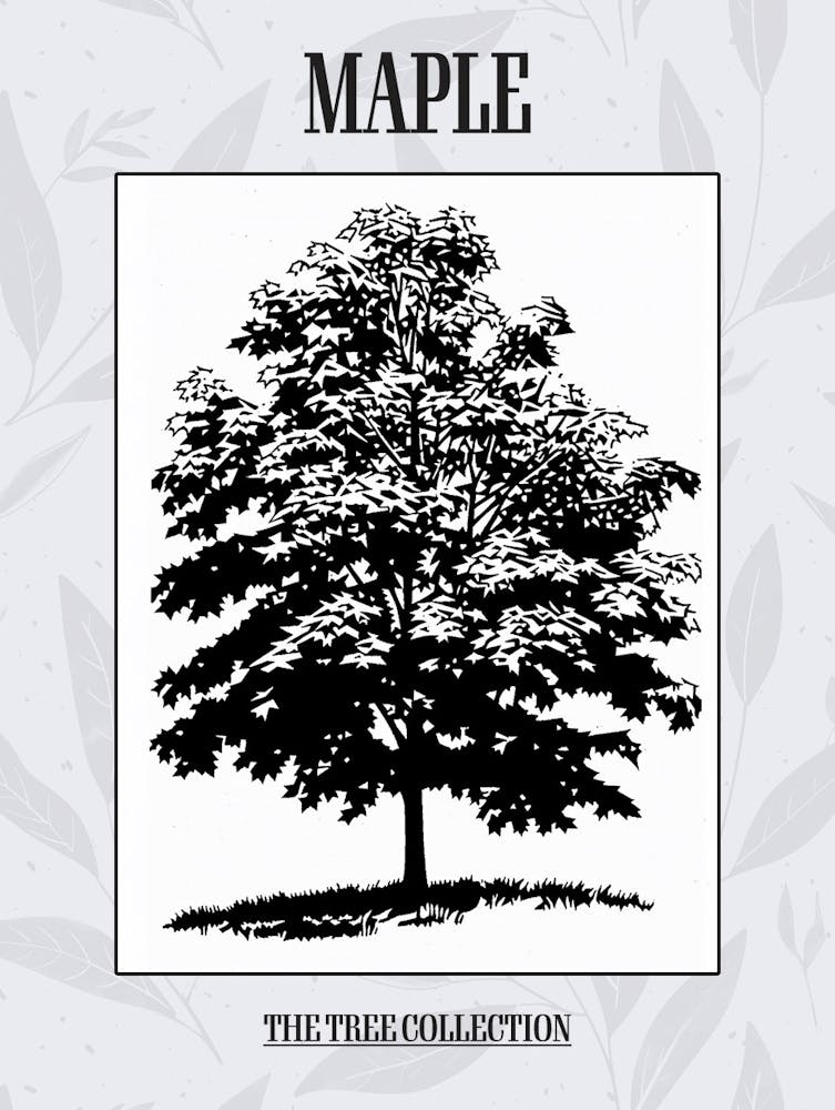 Maple Tree Simple Geometric Nature Stencil 21 Poster