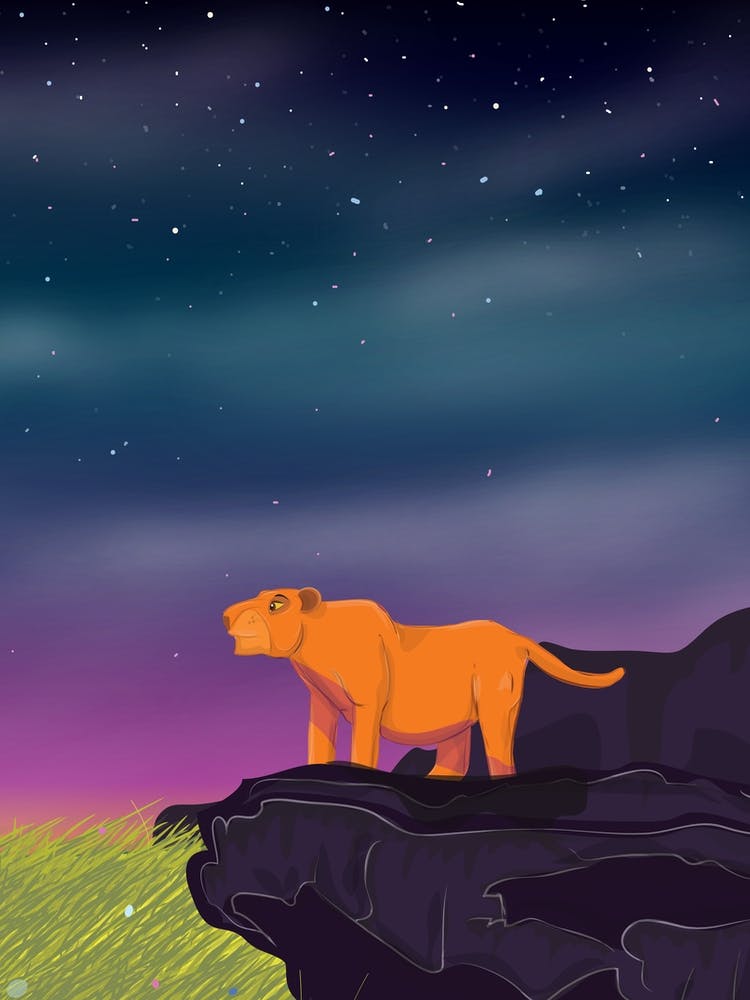 Lion At Night