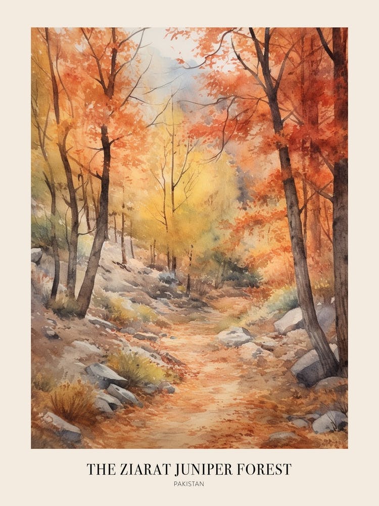 Autumn Forest Landscape The Ziarat Juniper Forest Pakistan Poster