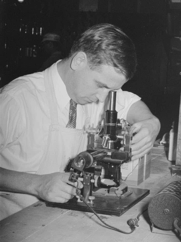 Chemist Running Microscopic Test On Sweet Potato Starch At Plant, Laurel, Mississippi By Russell Lee