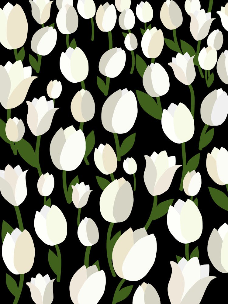 Tulip Field | 06 - Black And White