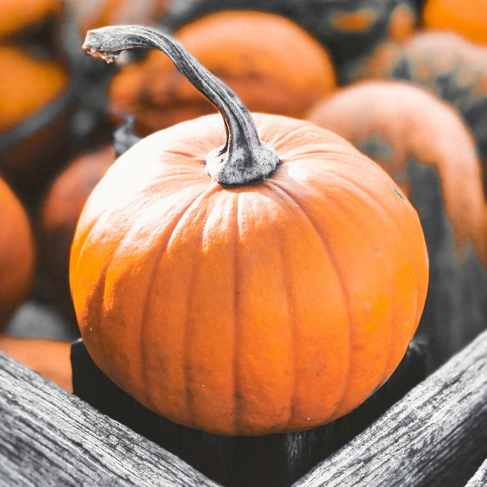 Pumpkins In A Crate